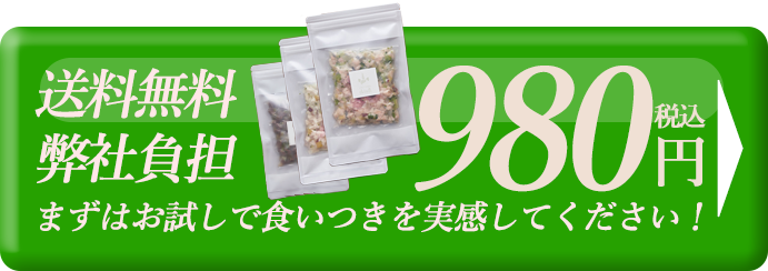 送料無料 弊社負担 980円 リンクボタン